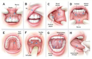 oral-cancer-screening